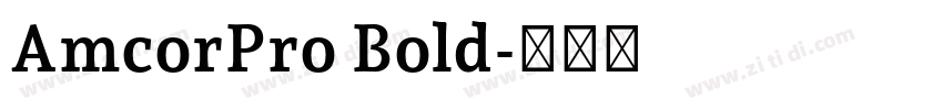 AmcorPro Bold字体转换